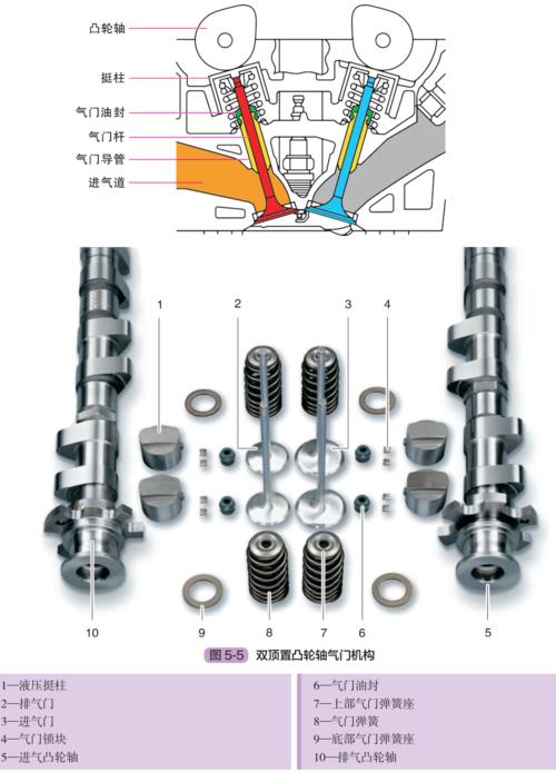 气门结构-气门结构图